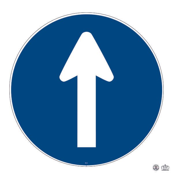 D,1a Direction obligatoire à intersection tout droit