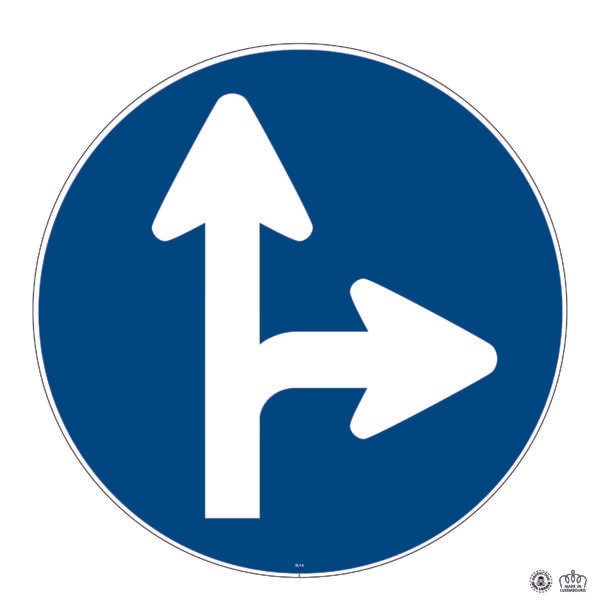 D,1a Directions obligatoires à tout droit ou à droite