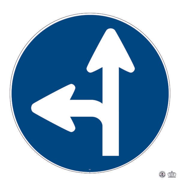 D,1a Directions obligatoires à tout droit ou à gauche
