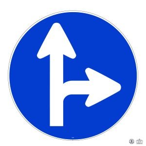 D,1a Directions obligatoires à tout droit ou à droite_Plan de travail 1