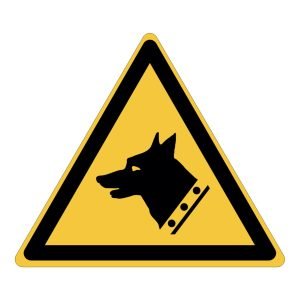 W013